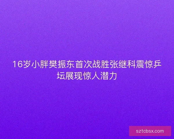 16岁小胖樊振东首次战胜张继科震惊乒坛展现惊人潜力